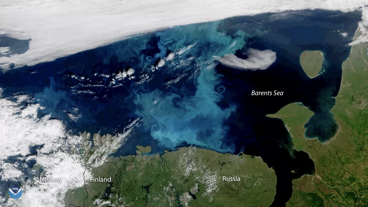 barents sea map