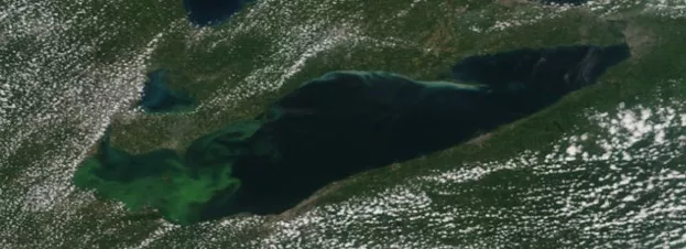 algal blooms from space